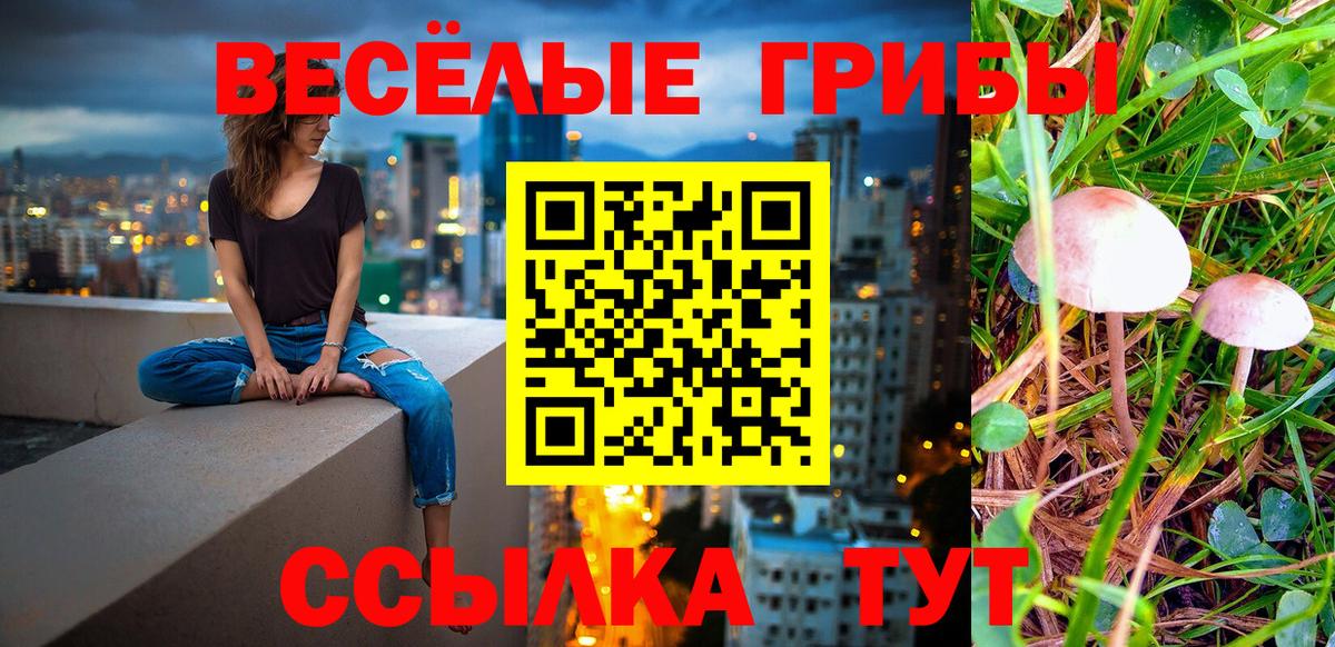 Псилоцибиновые грибы прущие грибы Черкесск